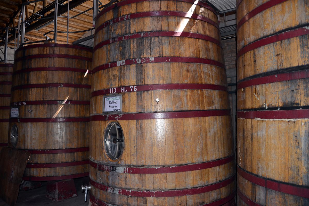 03-07 Large Wooden Wine Barrels At Domaine Bousquet On Uco Valley Wine Tour Mendoza